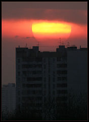 photo "wathching you..."