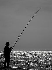 photo "Passion"