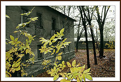 photo "Autumn fragments.3"