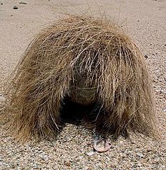 photo "Seems it is island of believers of Woodo."