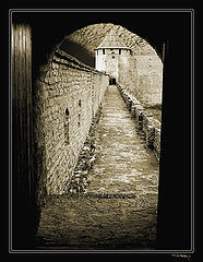 photo "Fragment"
