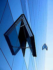 фото "Windows"