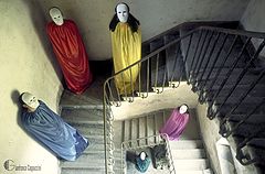 фото "the villa boys rose in color"