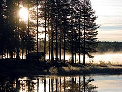 photo "Morning 4"