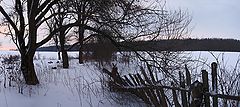 фото "Старый сад"