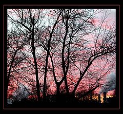 photo "Moscow. 02.12.2005. 16-00."
