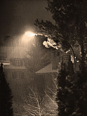 фото "Первый снег приходит ночью ... 2"