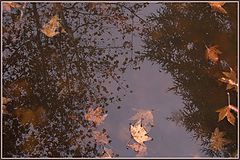 фото "Осеннее настроение"