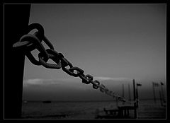 photo "fragility"