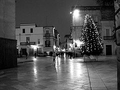 фото "Silent night.jpg"