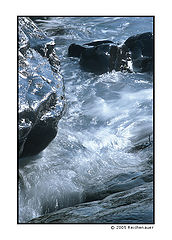 photo "Simply Water"