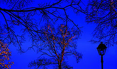 photo "Light of a sunset"