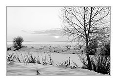 photo "***"