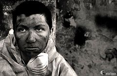 фото "the miner"