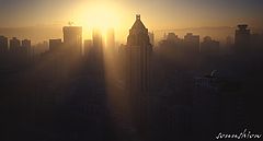 фото "Sun in the morning"