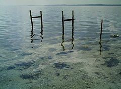 фото "Water"