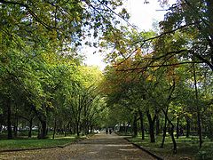 фотоальбом "город М"