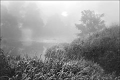 photo "***"