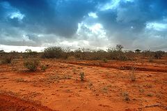 photo "Tsavo East vol.2"