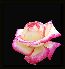 photo "Postcard"