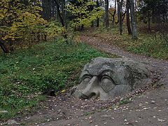 фото "Голова"
