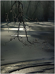 фото "Зимнее барокко"