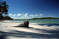 фото "Carneiros Beach (Tamandare, Pernambuco - Brasil)"