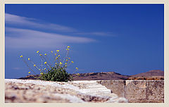 photo "On the fortress wall"