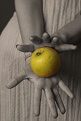 фото "apple"