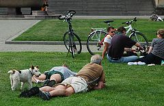 photo "Hot... It is interesting, what they there drink?"