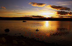 photo "*"