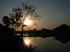 album "nature"