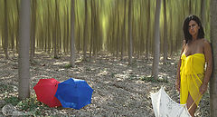 фото "colors"