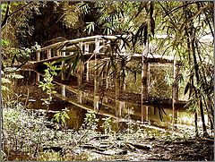 фото "Bridge"
