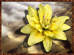 photo "Mirage"