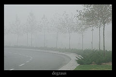 фото "~degraus~"