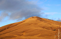 photo "***"