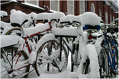 photo "On Friday, we had a little bit of snow=)"