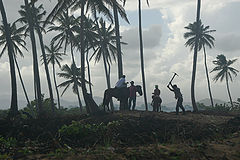 album "Dominikana"