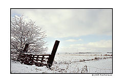 photo "Winter in Germany"