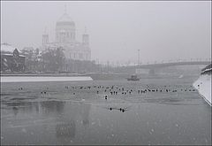 фото "Снегопад и птицы"
