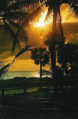 фото "Florida Sunset 2"