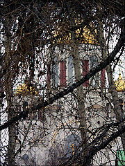 photo "***"