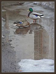 фото "Он и она. Воспоминание о весне."