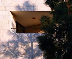 photo "Pinetree"