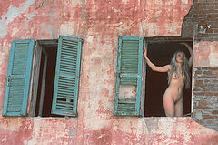фото "Windows"