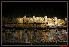 photo "braid work"