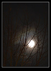 фото "The Moon 2"