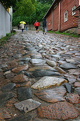 фото "After rain"