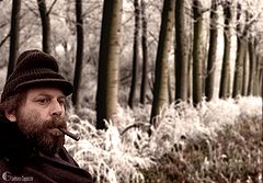 фото "the forest"